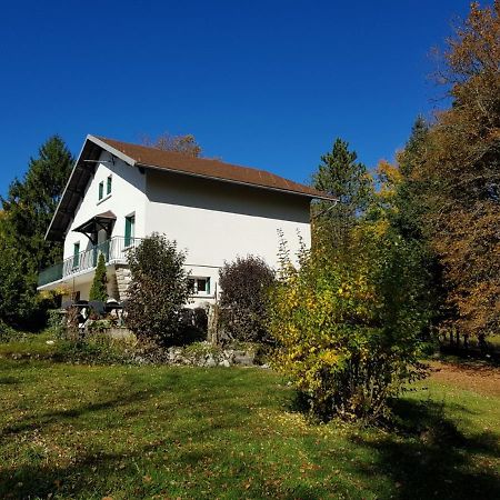 Gite Grande Capacite Au Calme Circuit Cascades Du Herisson Bonlieu Εξωτερικό φωτογραφία