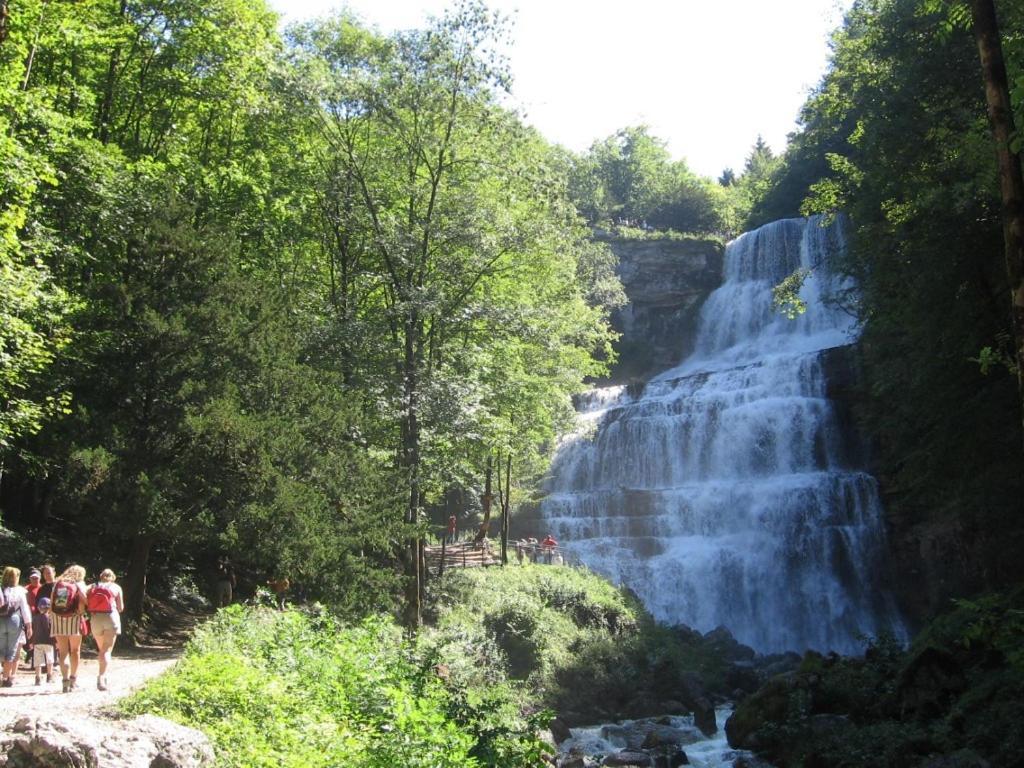 Gite Grande Capacite Au Calme Circuit Cascades Du Herisson Bonlieu Εξωτερικό φωτογραφία