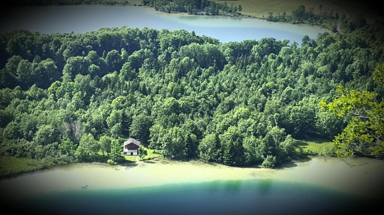 Gite Grande Capacite Au Calme Circuit Cascades Du Herisson Bonlieu Εξωτερικό φωτογραφία